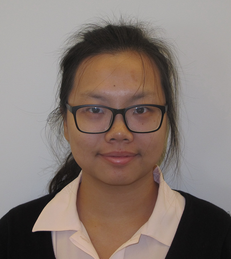 Xiaowei Zhuang