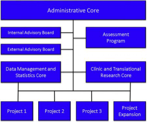 Fig. 3. Structure of the Center for Neurodegeneration and Translational Neuroscience (CNTN). Three cores—administrative, data management and statistics, and clinical and translational research—serve the three projects. The assessment program reiteratively assesses all aspects of the enterprise. The internal and external advisory boards review the center semi-annually and report to the Administrative Core and to the National Institute of General Medical Sciences (NIGMS).